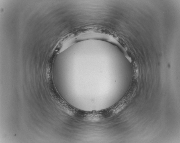 X0000070400708200607072244