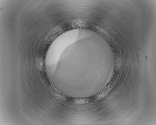 X0000070400709200607072244