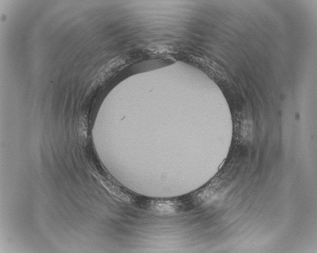 X0000070400710200607072244