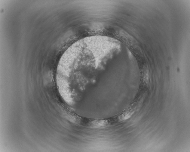 X0000070400711200607072244