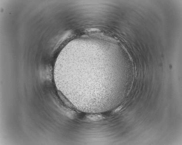 X0000070400712200607072244