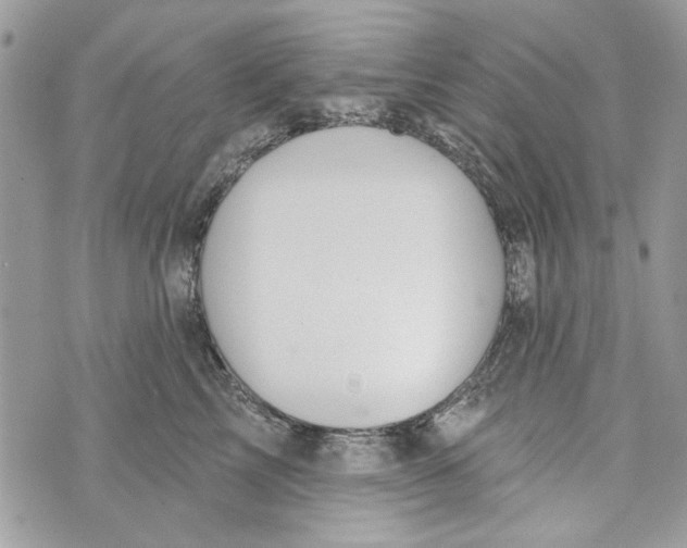 X0000070400713200607072244