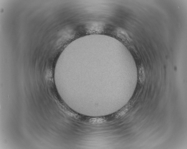 X0000070400714200607072244