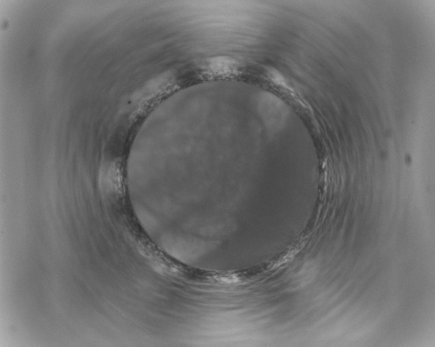 X0000070400715200607072244