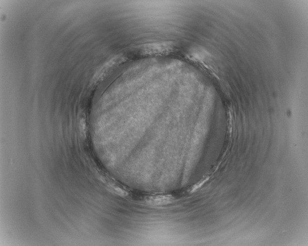 X0000070400716200607072244