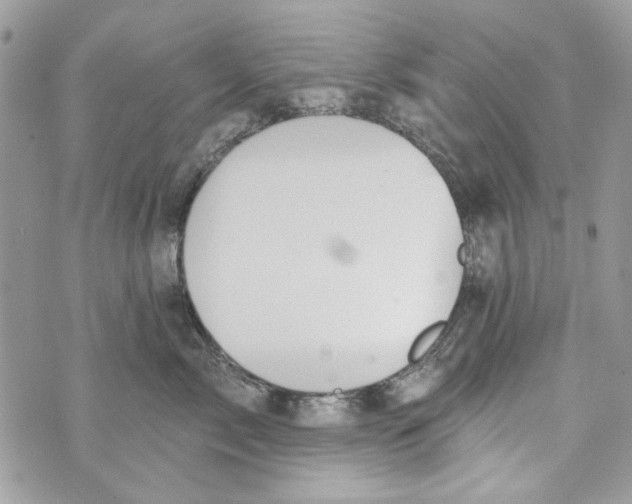 X0000070400717200607072244