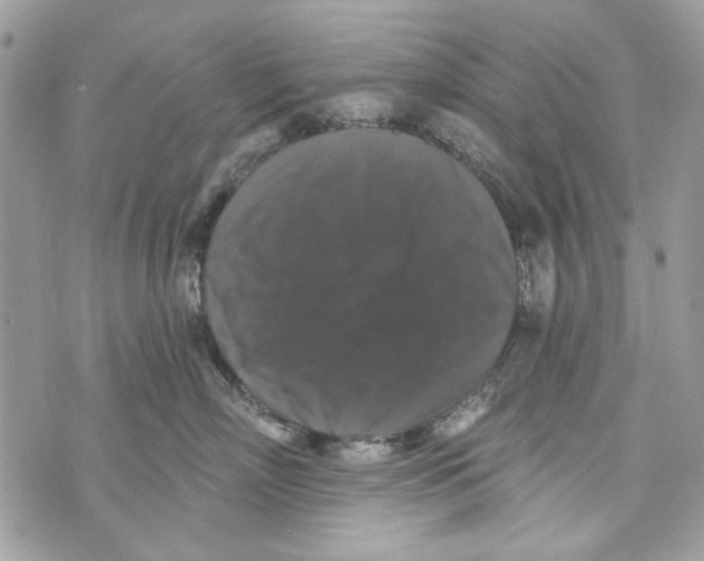 X0000070400718200607072244