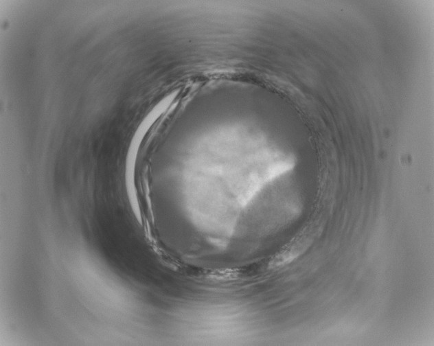 X0000070400720200607072244