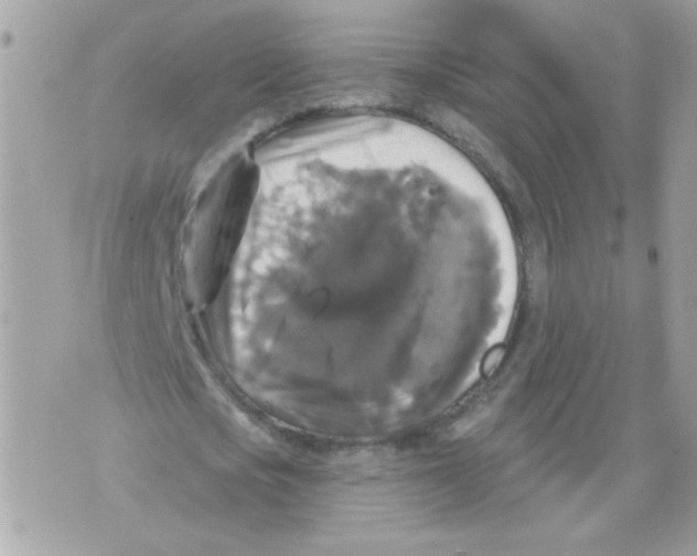 X0000070400721200607072243