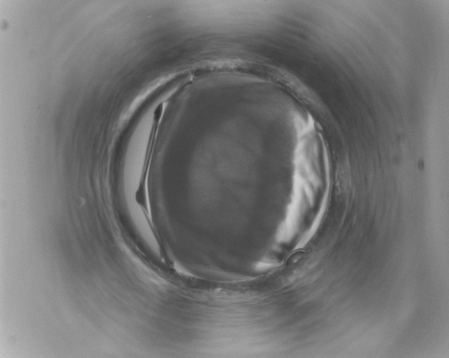 X0000070400722200607072243