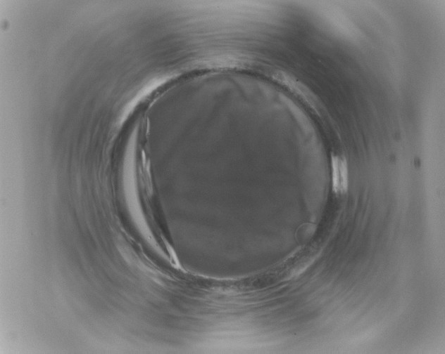 X0000070400723200607072243