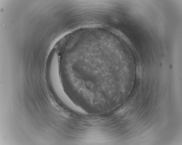 X0000070400724200607072243