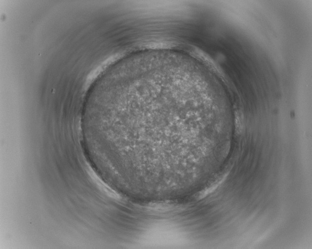 X0000070400725200607072243