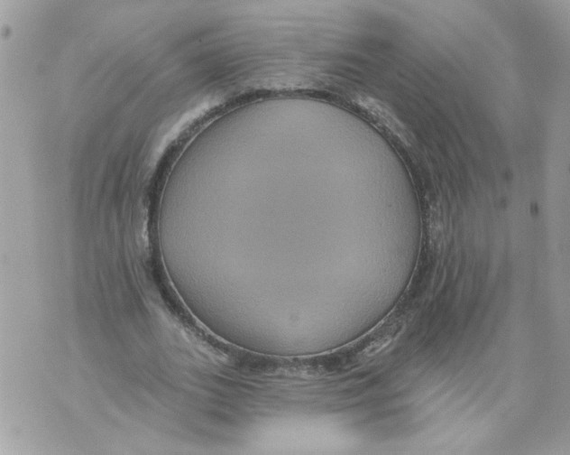 X0000070400727200607072243