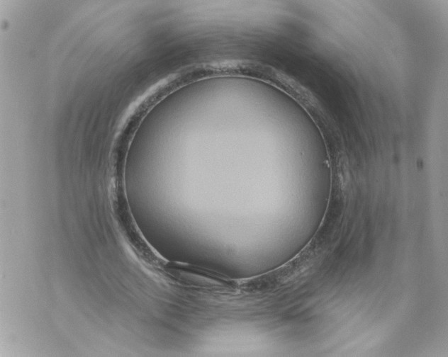 X0000070400728200607072243