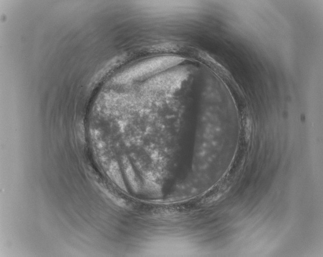 X0000070400729200607072243