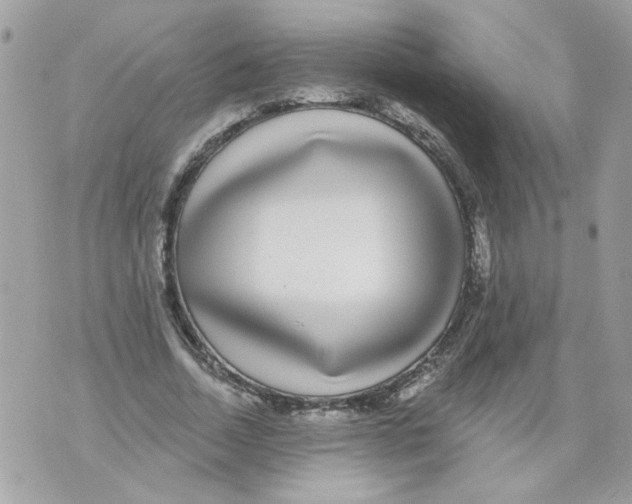 X0000070400730200607072243