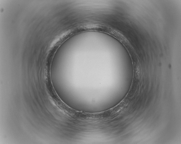 X0000070400732200607072243