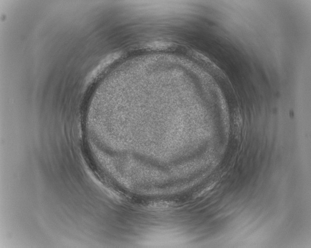 X0000070400734200607072243