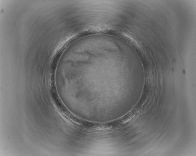 X0000070400736200607072243