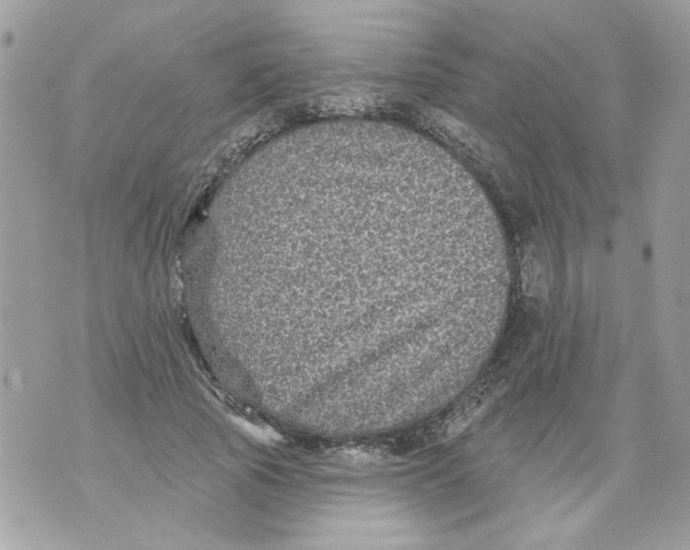 X0000070400737200607072243