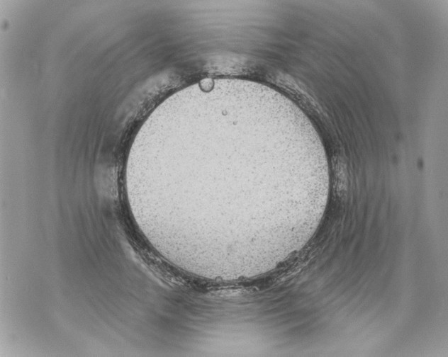 X0000070400738200607072243