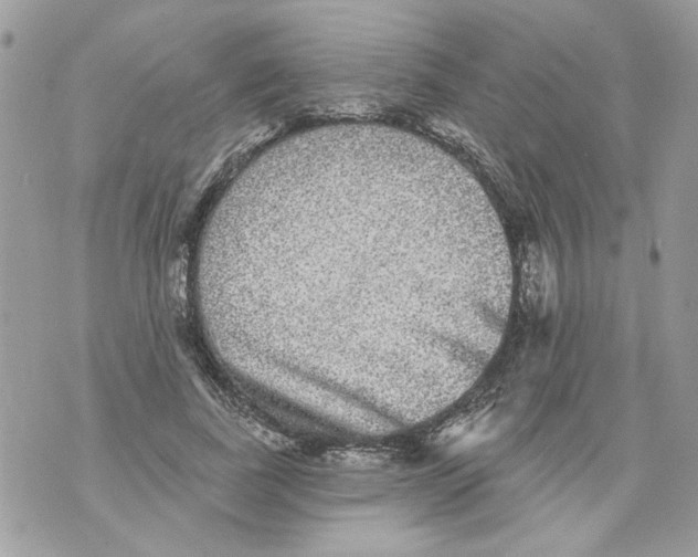 X0000070400739200607072243