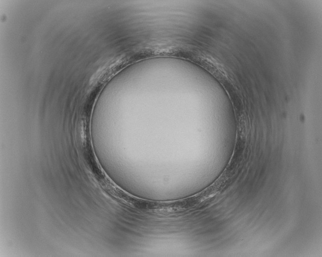 X0000070400740200607072243