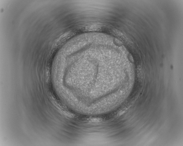 X0000070400741200607072243