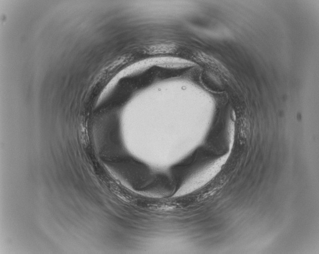 X0000070400743200607072244