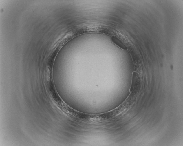 X0000070400744200607072244