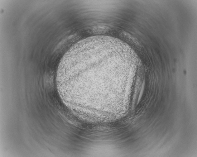 X0000070400745200607072244