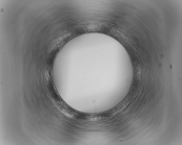 X0000070400746200607072244