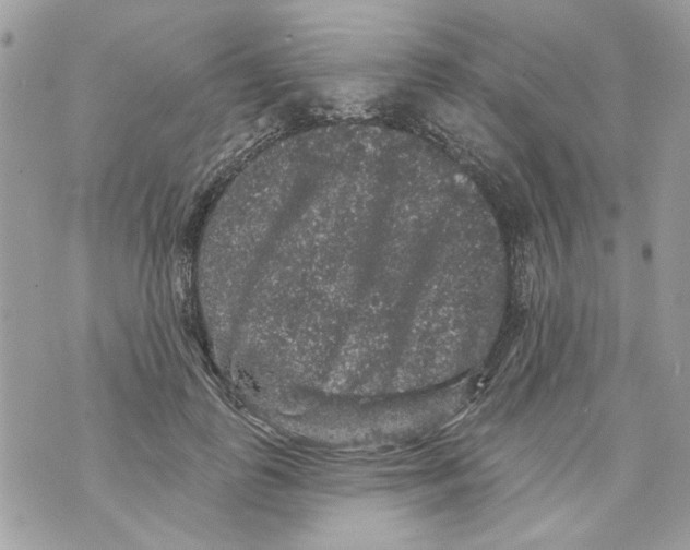 X0000070400747200607072244