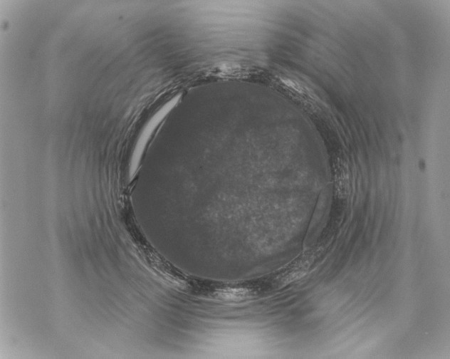 X0000070400748200607072244