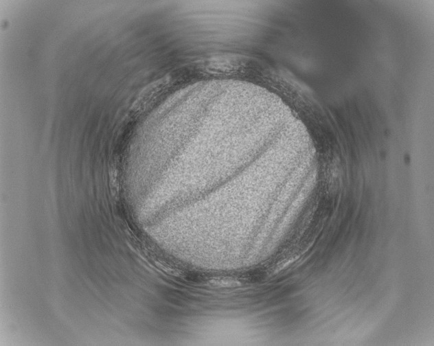 X0000070400749200607072244