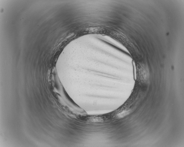 X0000070400750200607072244