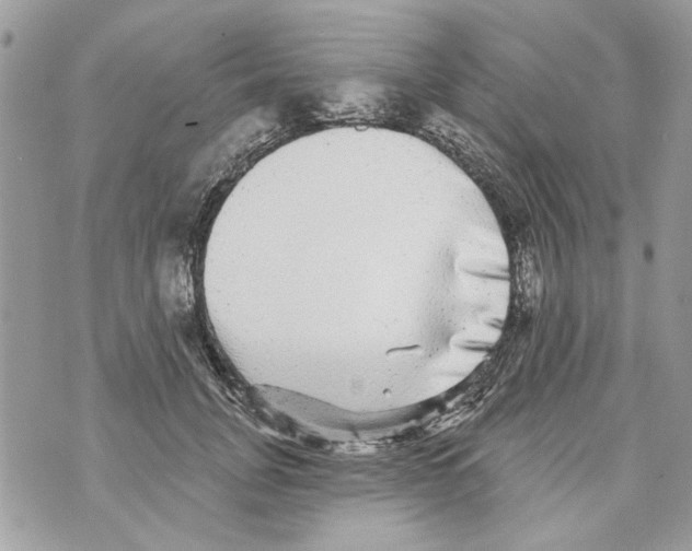 X0000070400751200607072244