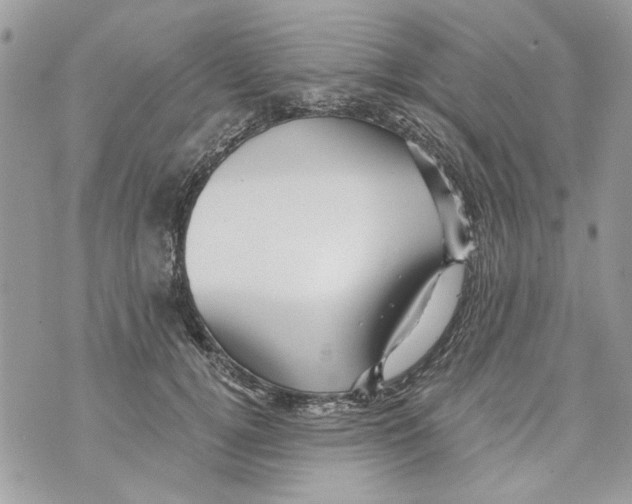 X0000070400752200607072244