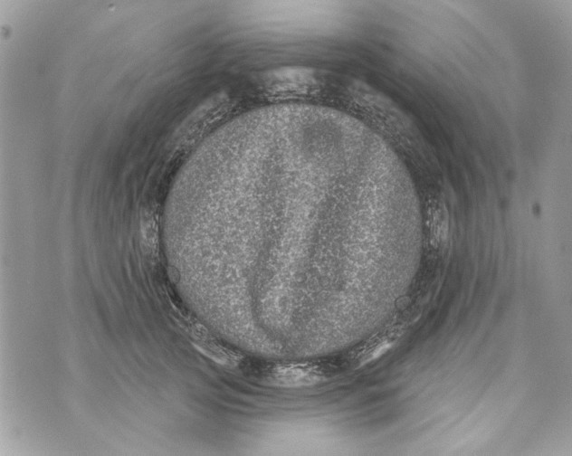 X0000070400753200607072244