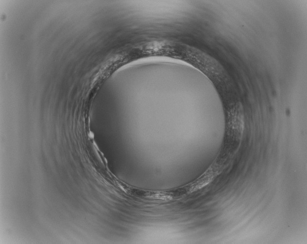 X0000070400754200607072244