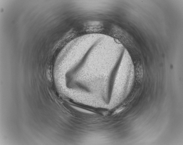 X0000070400755200607072244