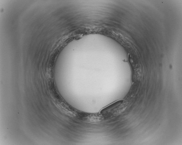 X0000070400756200607072244