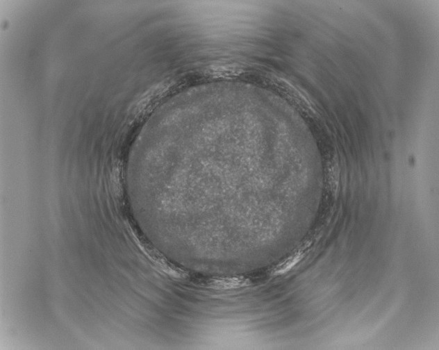 X0000070400757200607072244