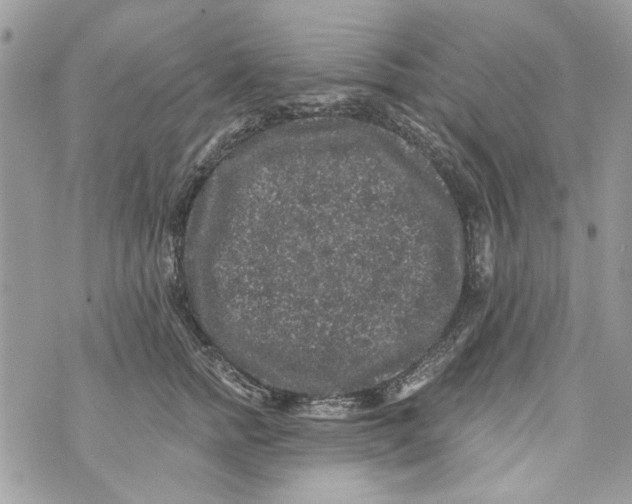 X0000070400758200607072244