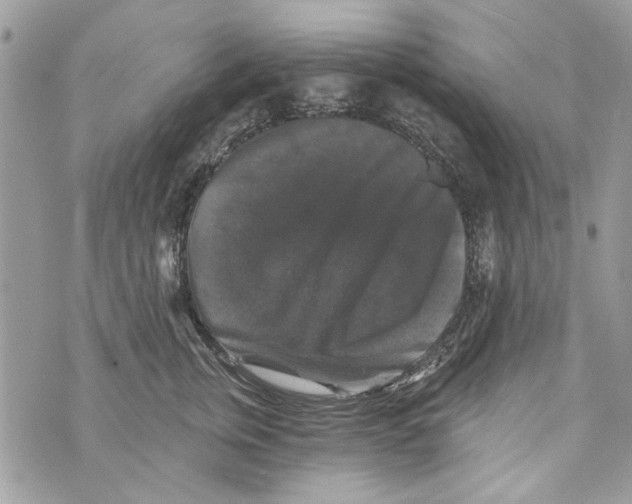 X0000070400759200607072244