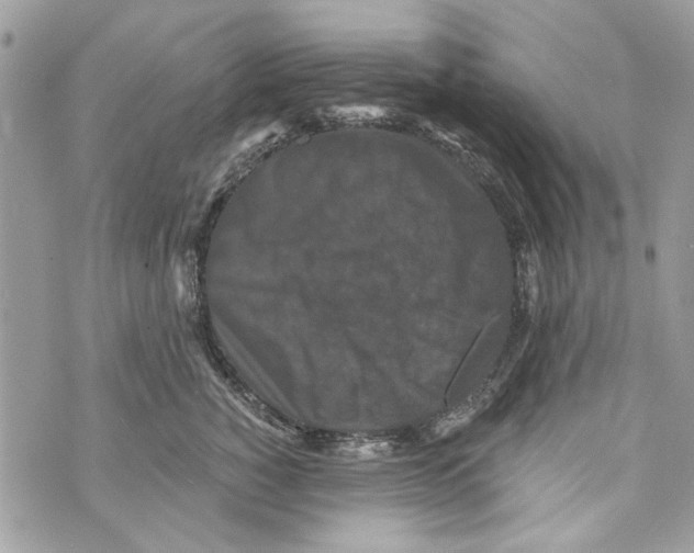 X0000070400760200607072244