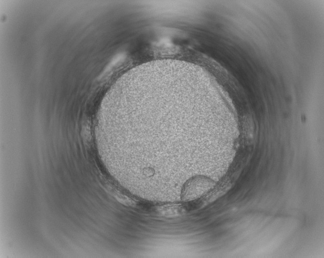 X0000070400761200607072244