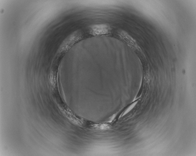 X0000070400763200607072244