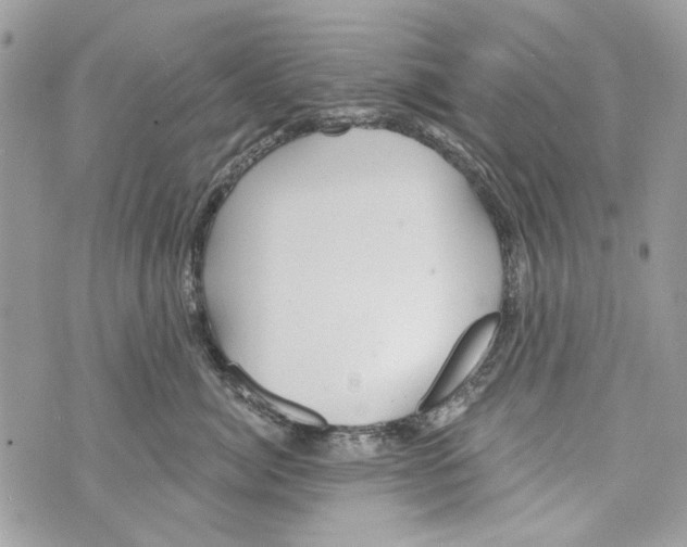 X0000070400764200607072244